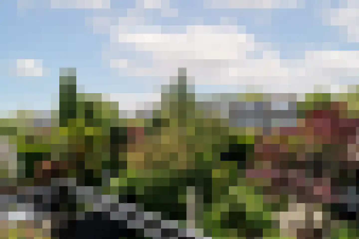 Willem Pijperlaan 62 Rotterdam thumbnail 38