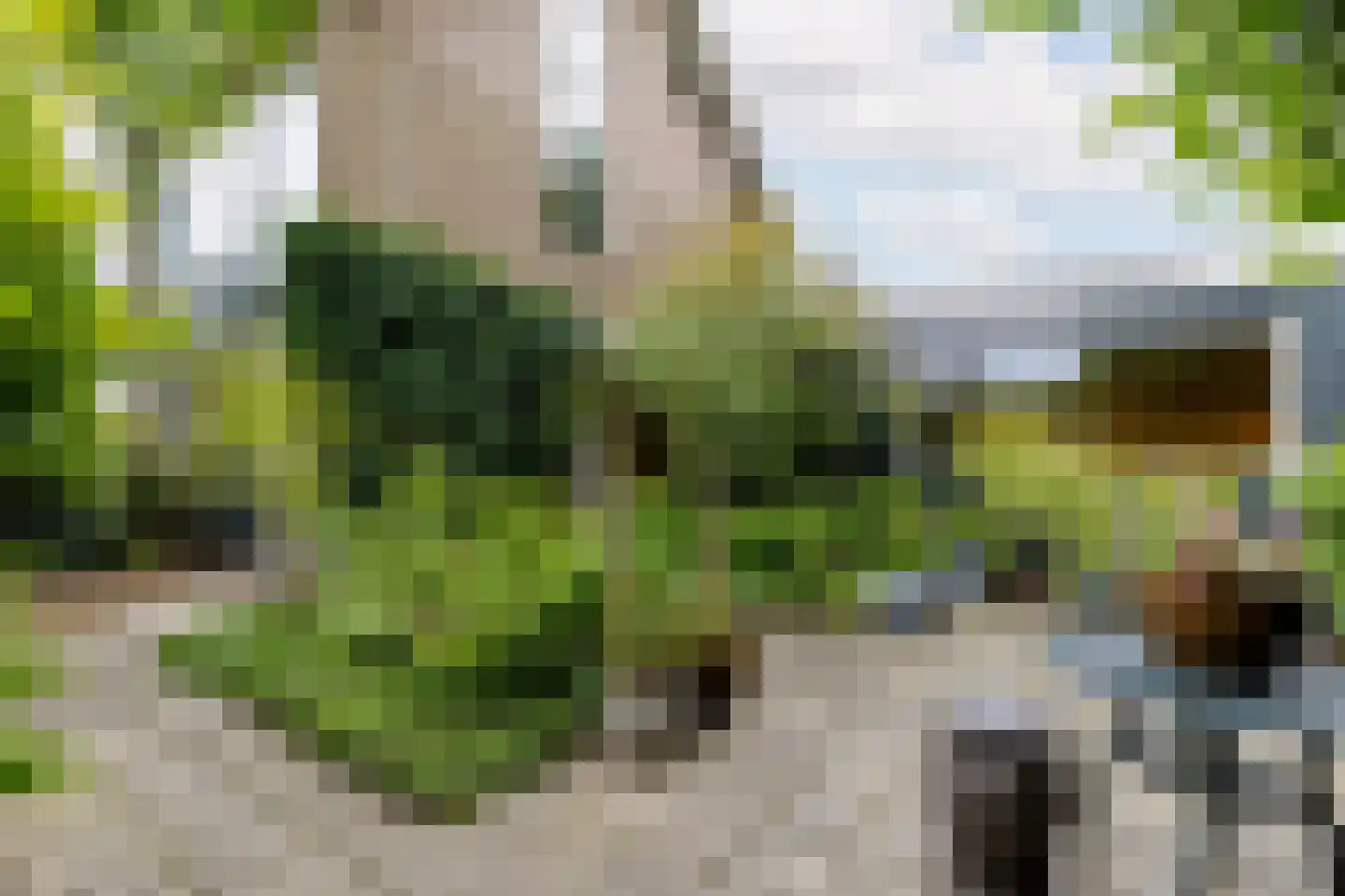 Willem Pijperlaan 62 Rotterdam thumbnail 44
