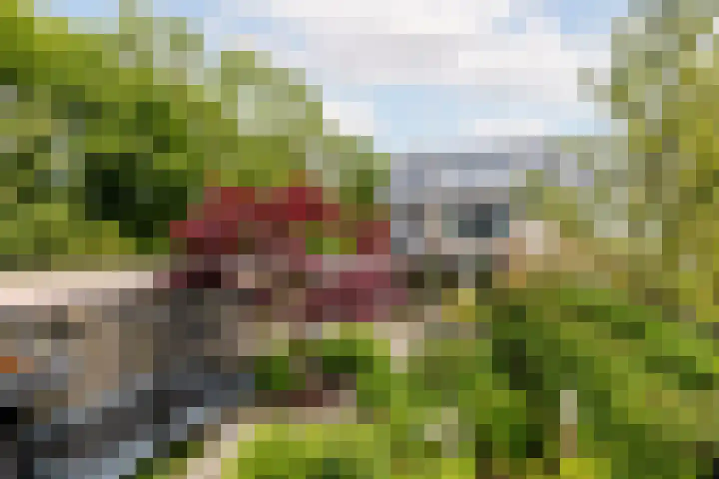 Willem Pijperlaan 62 Rotterdam thumbnail 46
