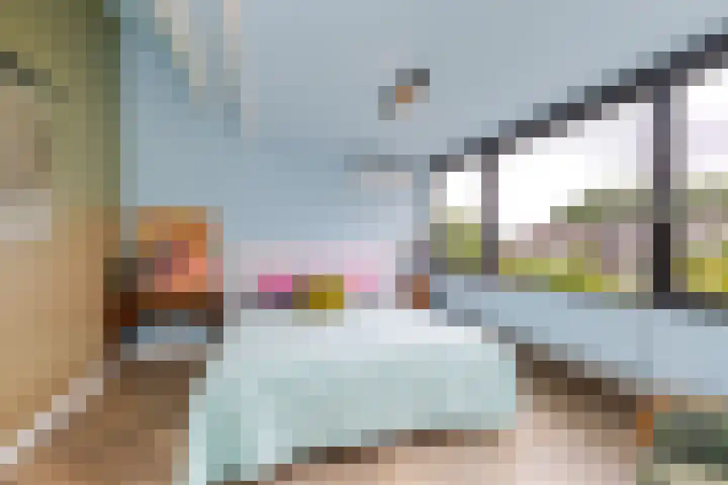 Willem Pijperlaan 62 Rotterdam thumbnail 49