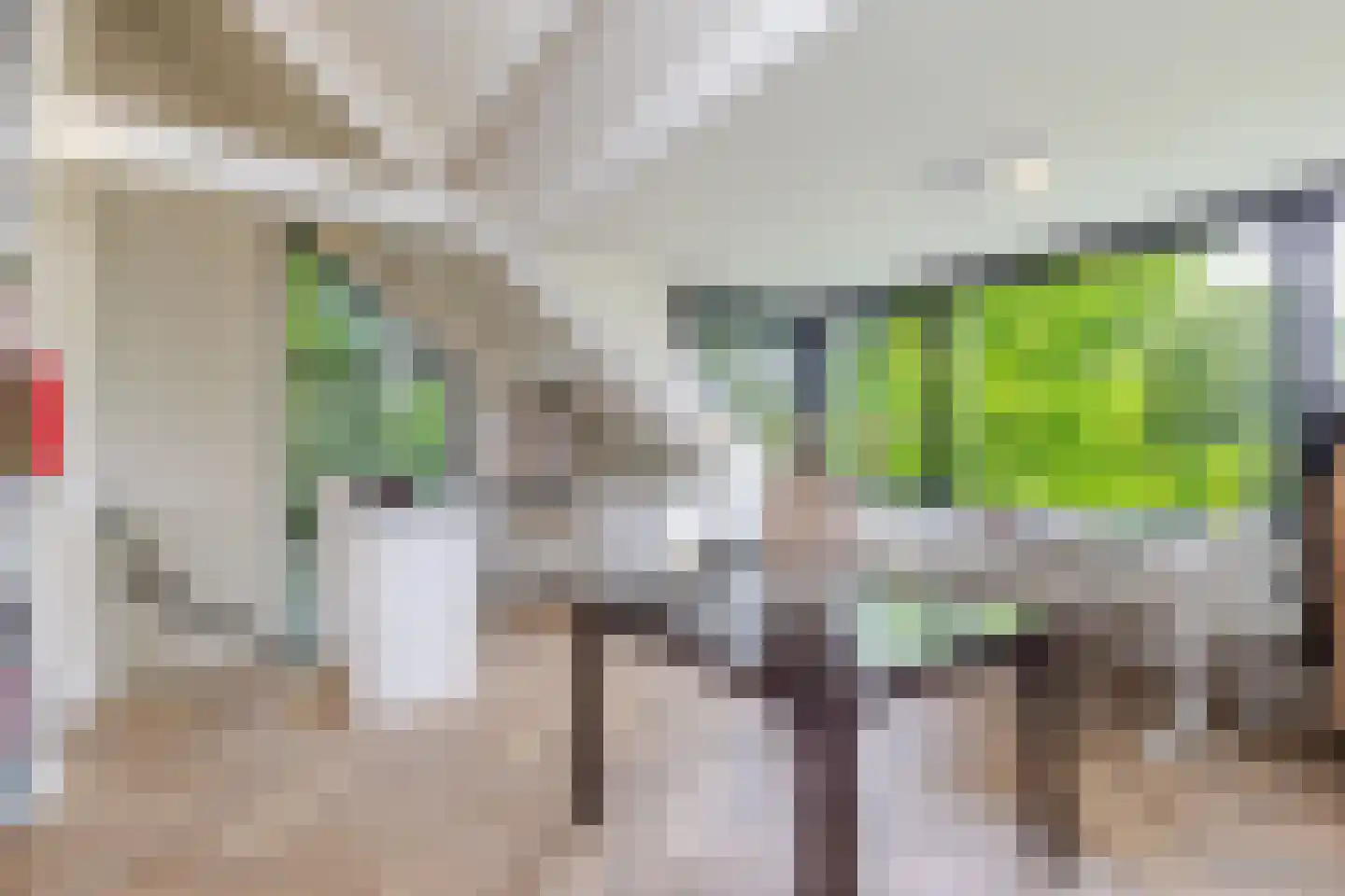 Willem Pijperlaan 62 Rotterdam thumbnail 52