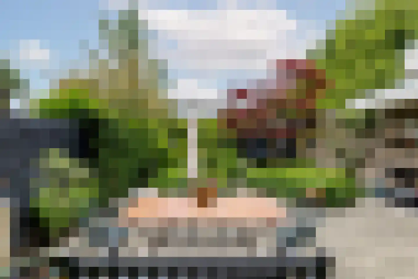 Willem Pijperlaan 62 Rotterdam thumbnail 58