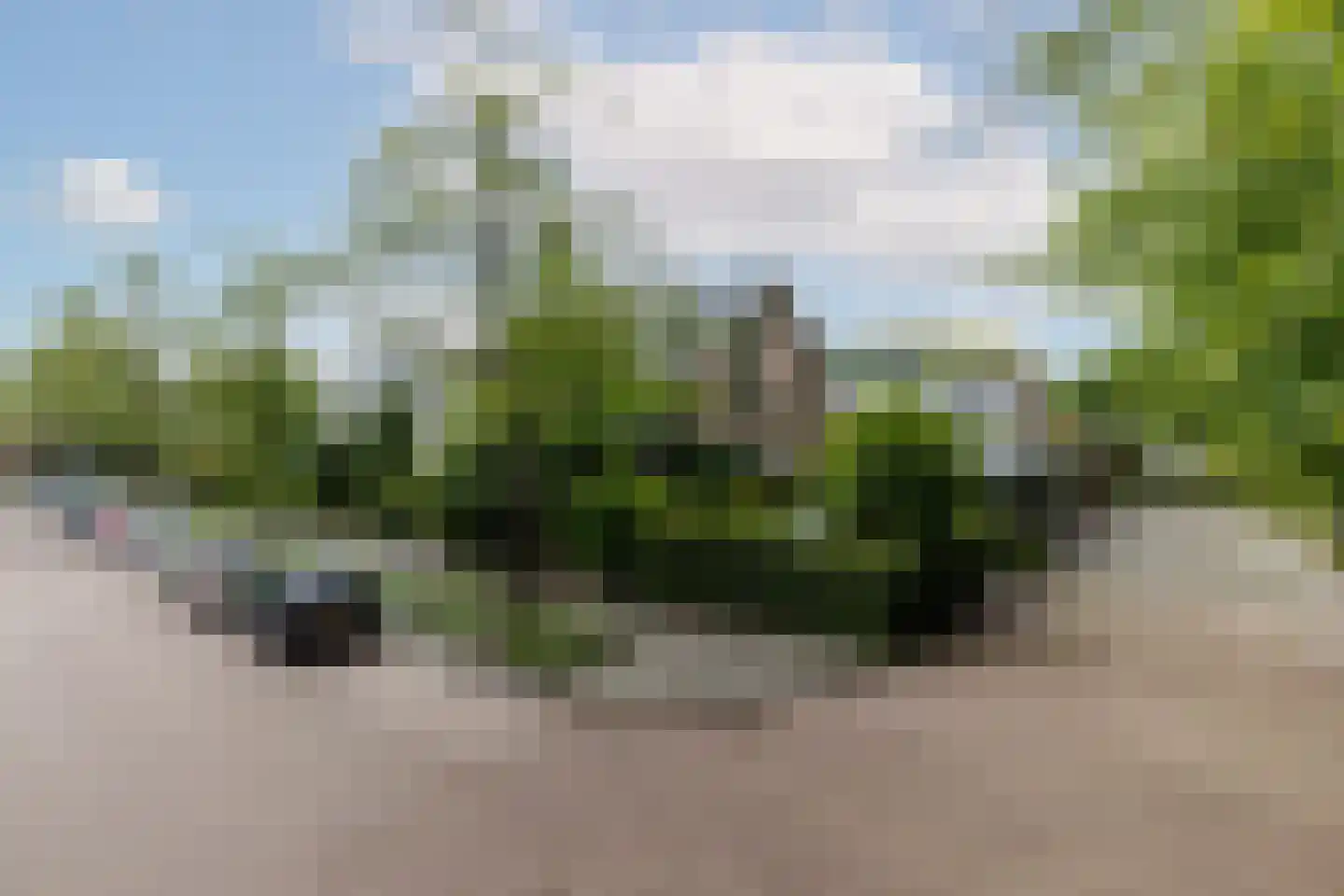 Willem Pijperlaan 62 Rotterdam thumbnail 64