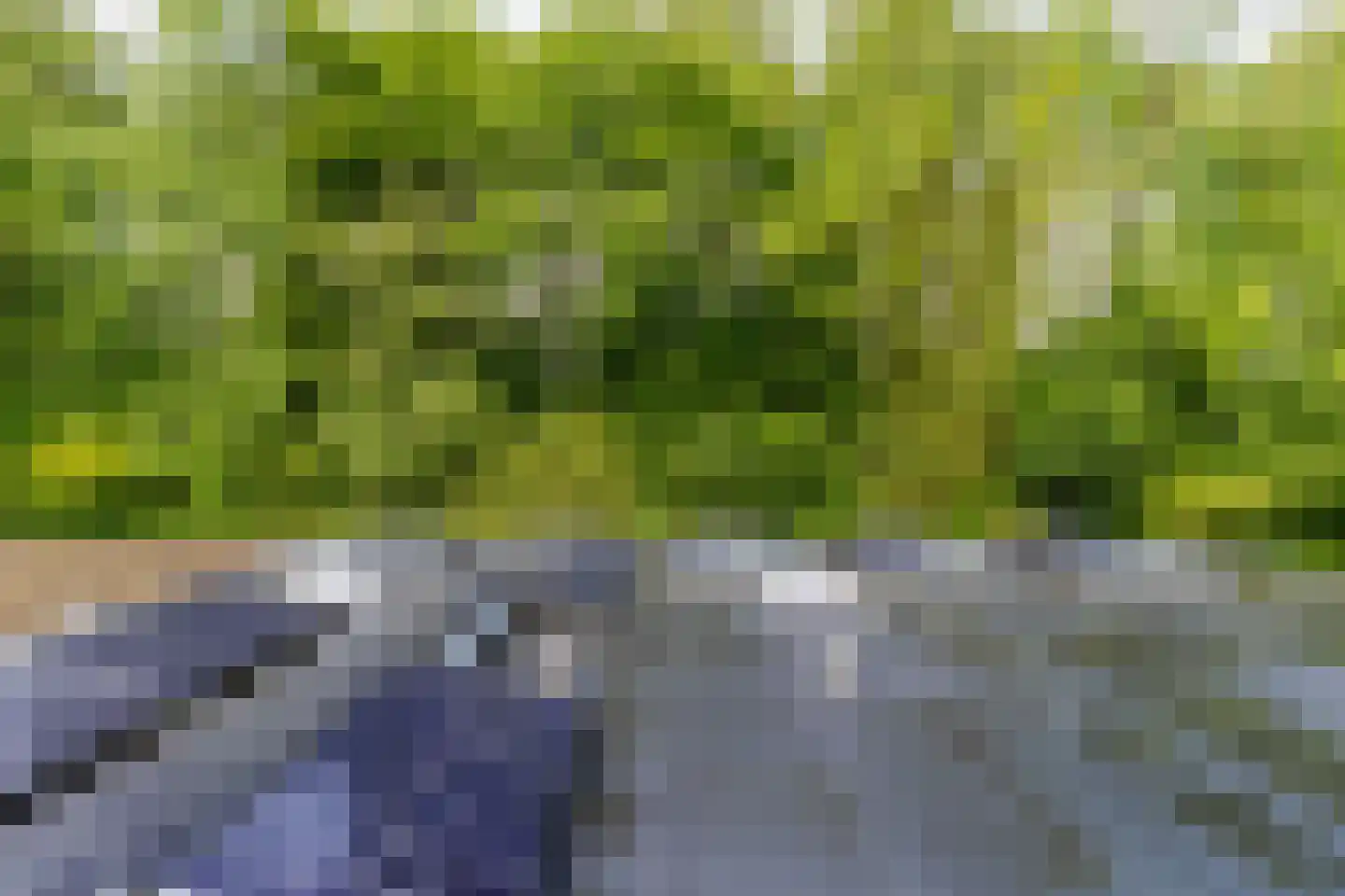 Willem Pijperlaan 62 Rotterdam thumbnail 65
