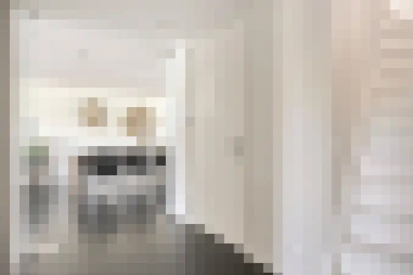Willem Pijperlaan 9 Oegstgeest thumbnail 14