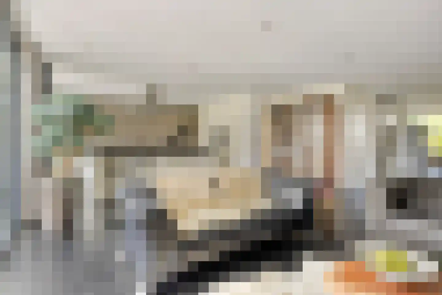 Willem Pijperlaan 9 Oegstgeest thumbnail 23