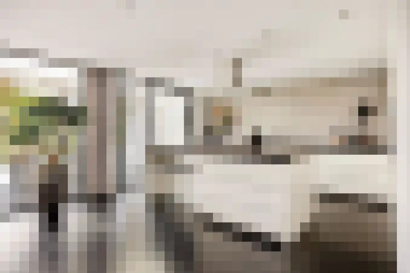 Willem Pijperlaan 9 Oegstgeest thumbnail 24
