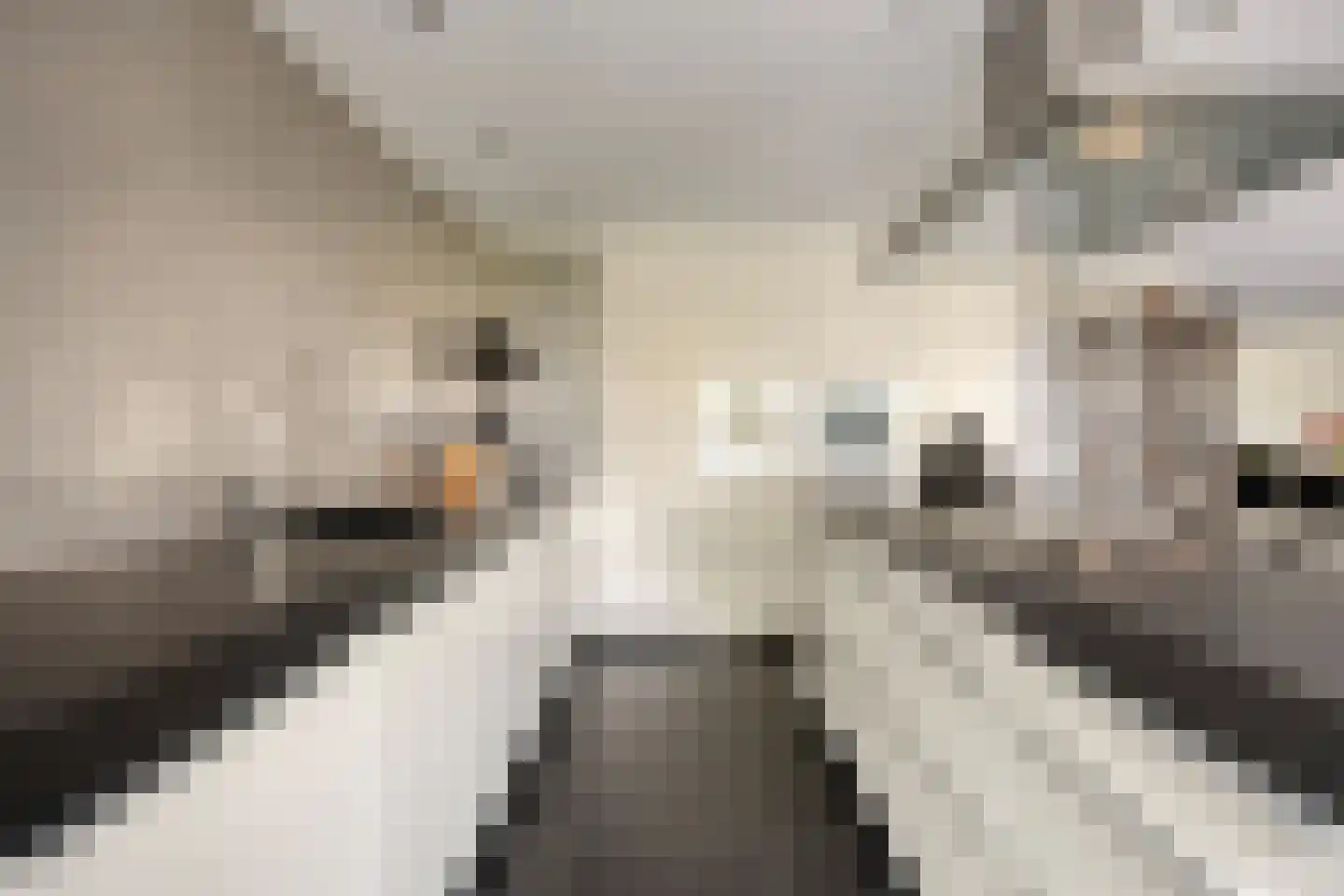 Willem Pijperlaan 9 Oegstgeest thumbnail 27