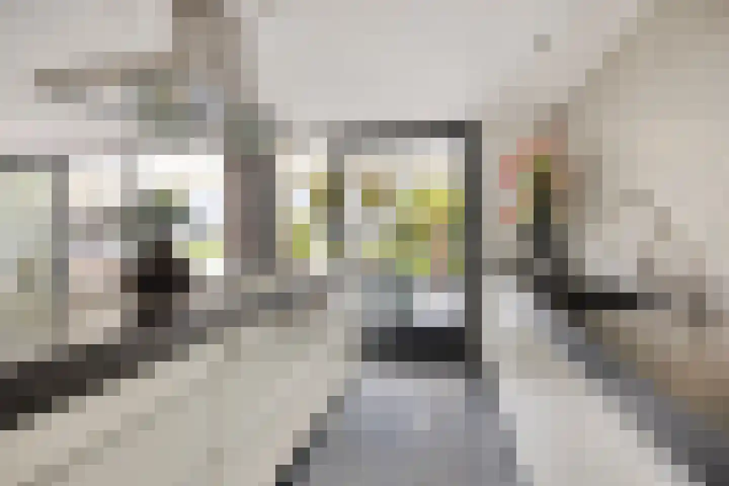 Willem Pijperlaan 9 Oegstgeest thumbnail 28