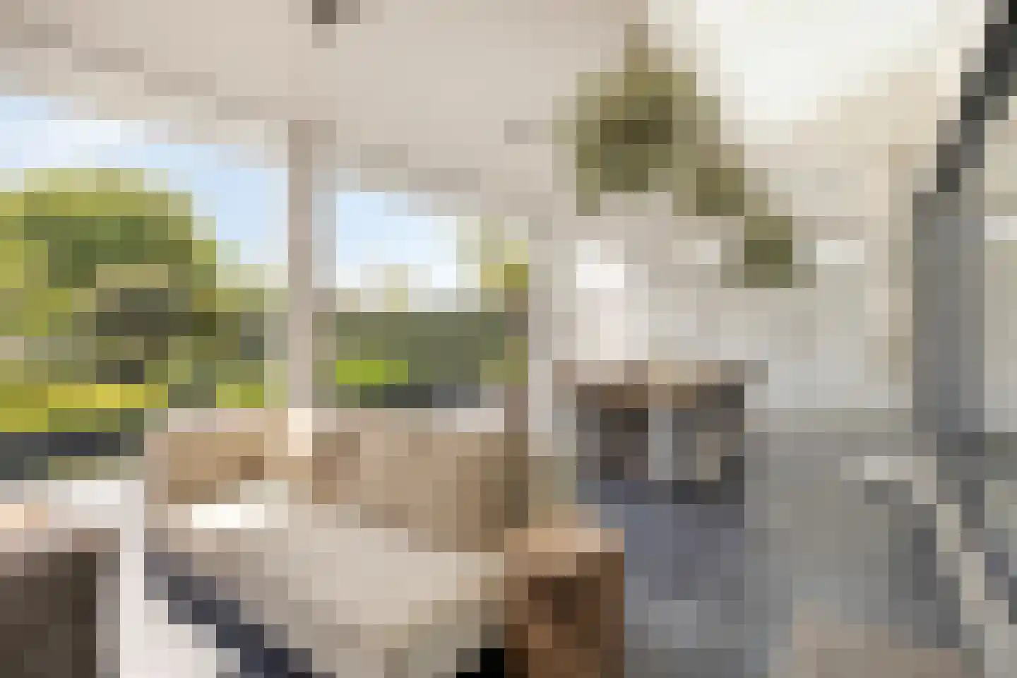 Willem Pijperlaan 9 Oegstgeest thumbnail 29