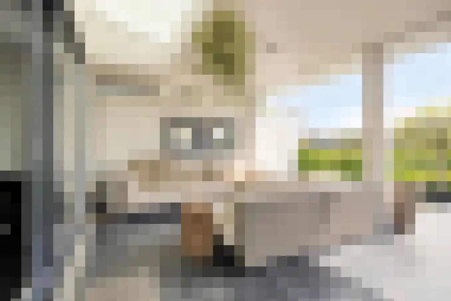 Willem Pijperlaan 9 Oegstgeest thumbnail 30