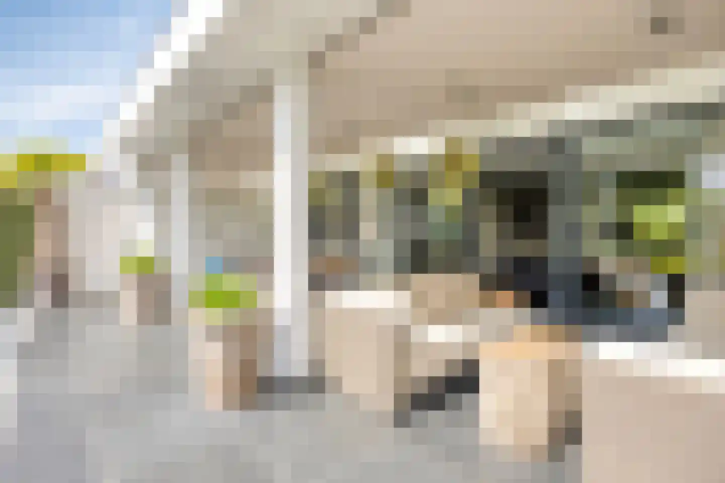 Willem Pijperlaan 9 Oegstgeest thumbnail 31