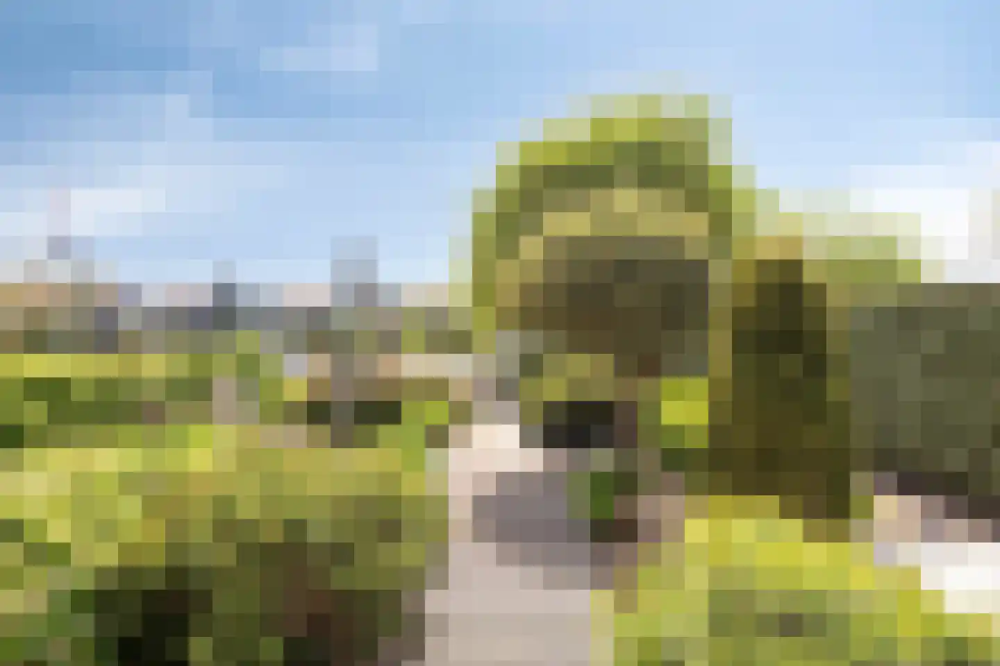 Willem Pijperlaan 9 Oegstgeest thumbnail 33