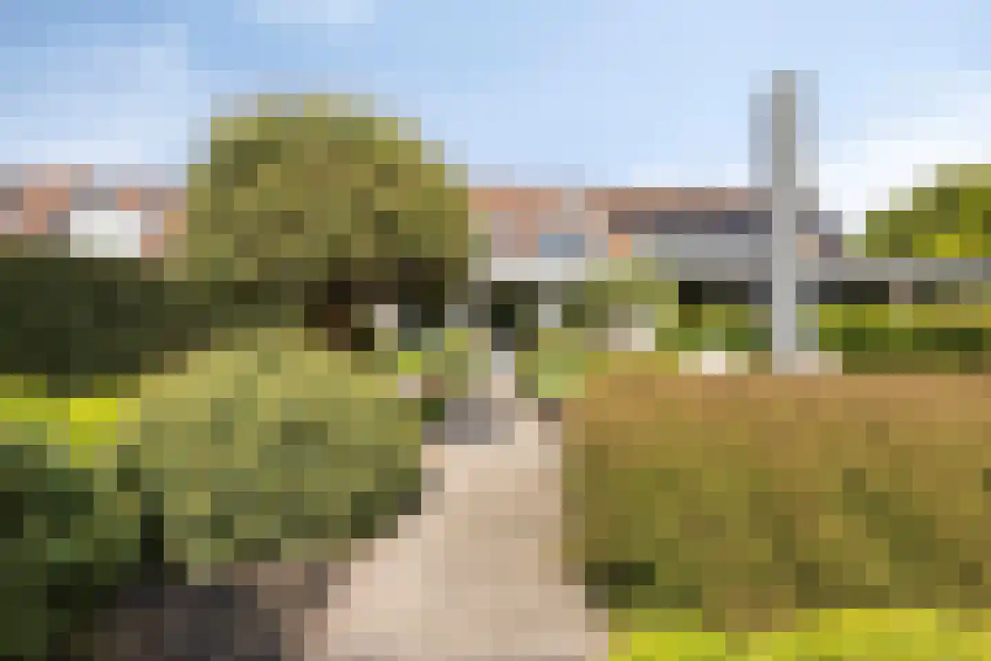 Willem Pijperlaan 9 Oegstgeest thumbnail 35