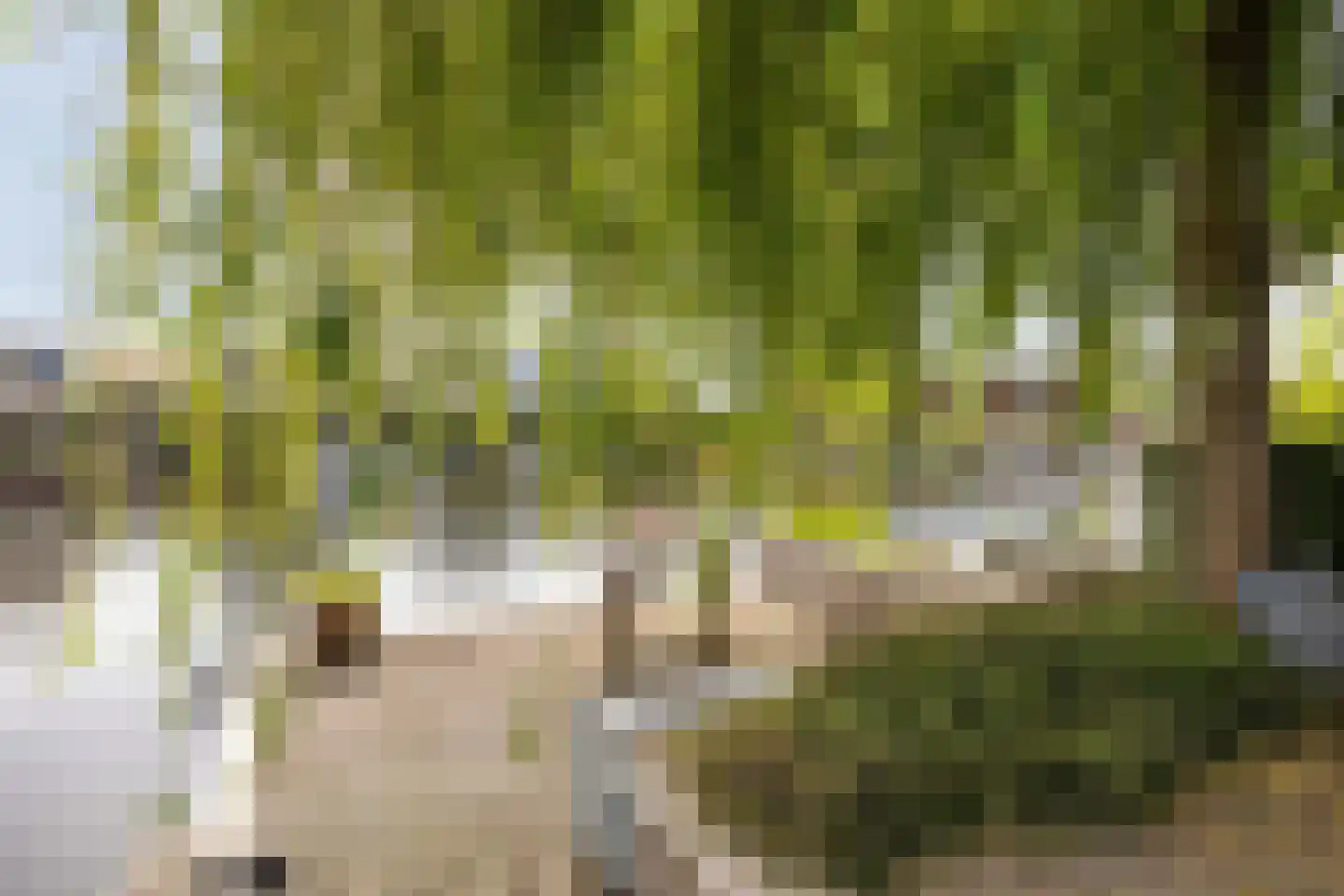 Willem Pijperlaan 9 Oegstgeest thumbnail 36