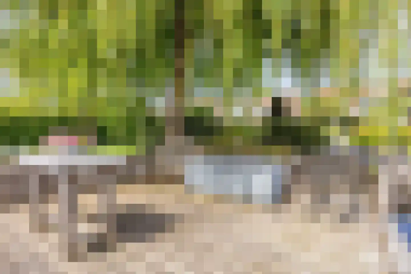 Willem Pijperlaan 9 Oegstgeest thumbnail 37