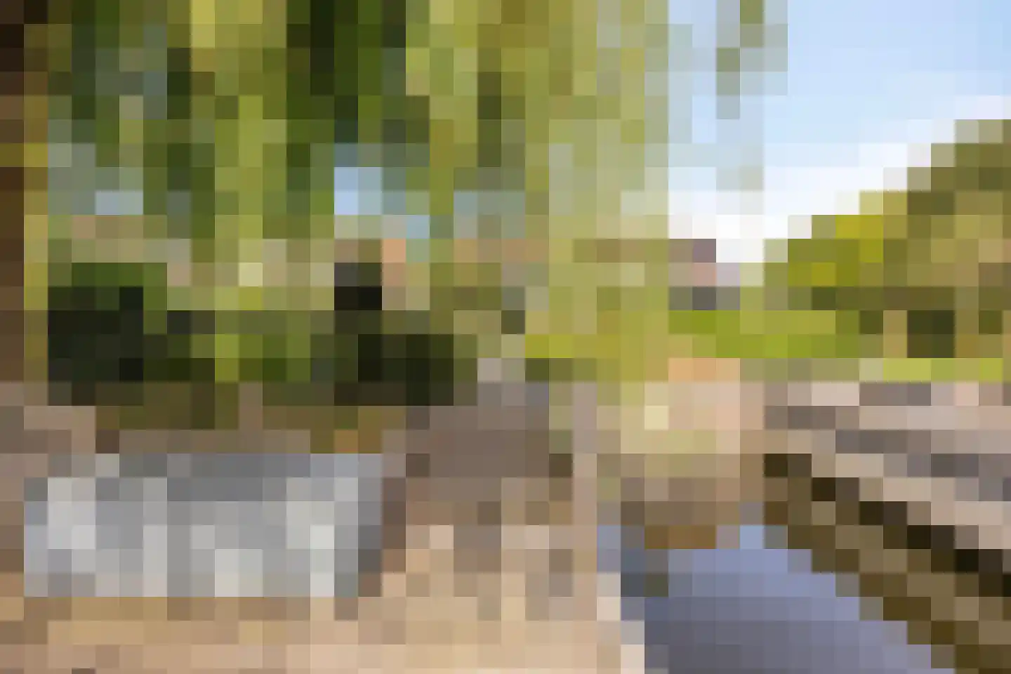 Willem Pijperlaan 9 Oegstgeest thumbnail 39