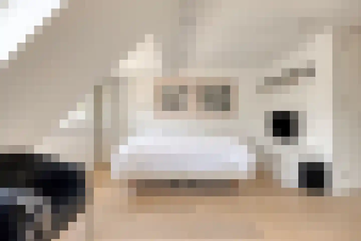 Willem Pijperlaan 9 Oegstgeest thumbnail 48