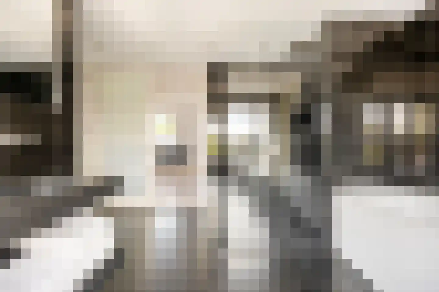 Willem Pijperlaan 9 Oegstgeest thumbnail 50