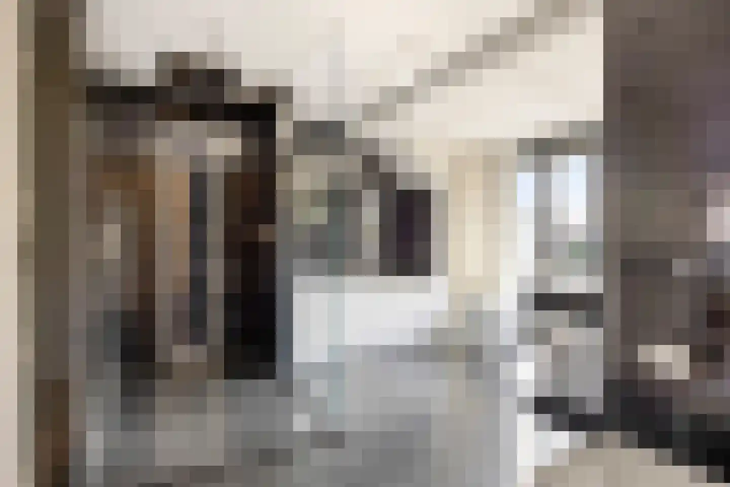 Willem Pijperlaan 9 Oegstgeest thumbnail 52