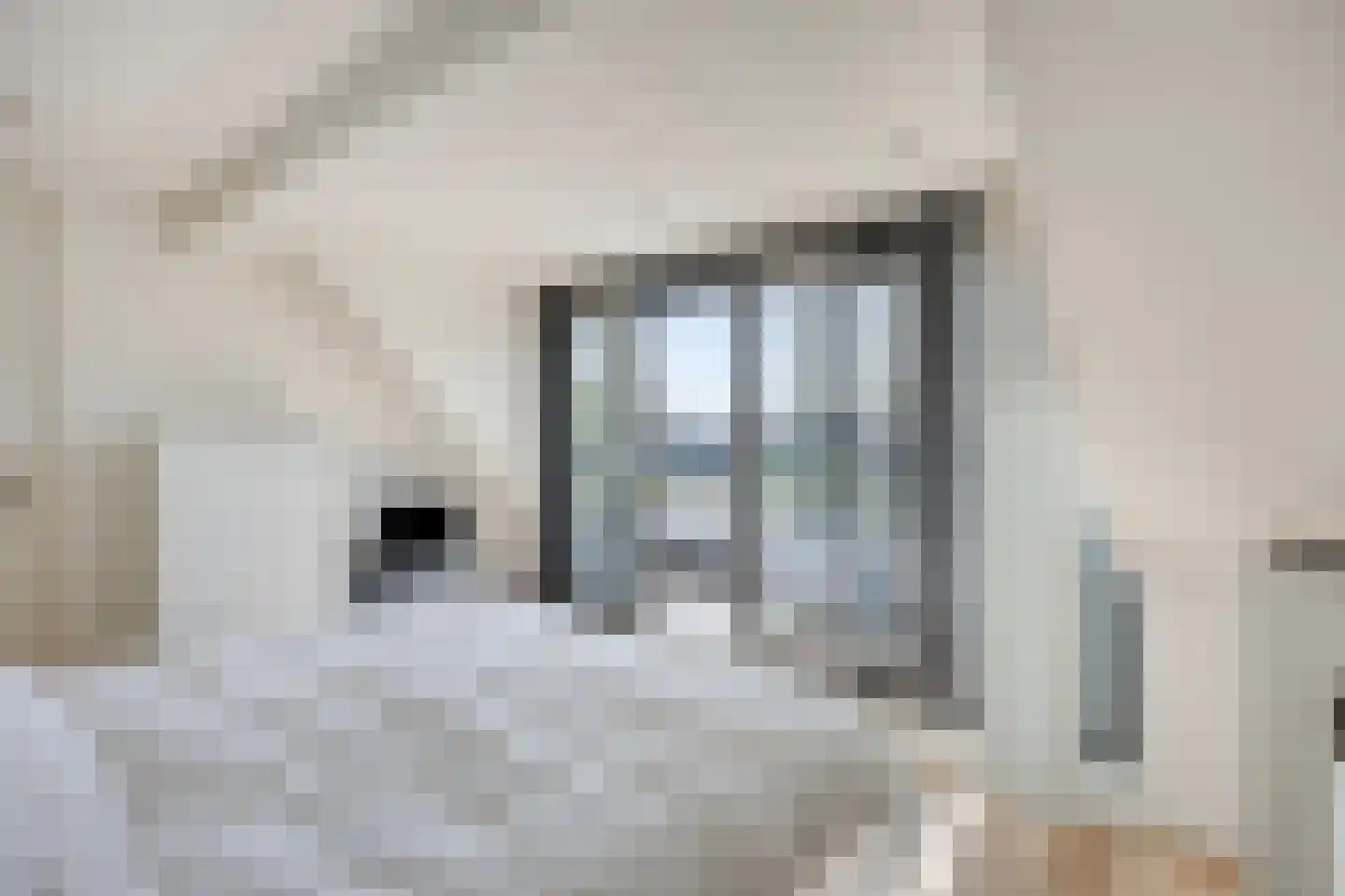 Willem Pijperlaan 9 Oegstgeest thumbnail 57