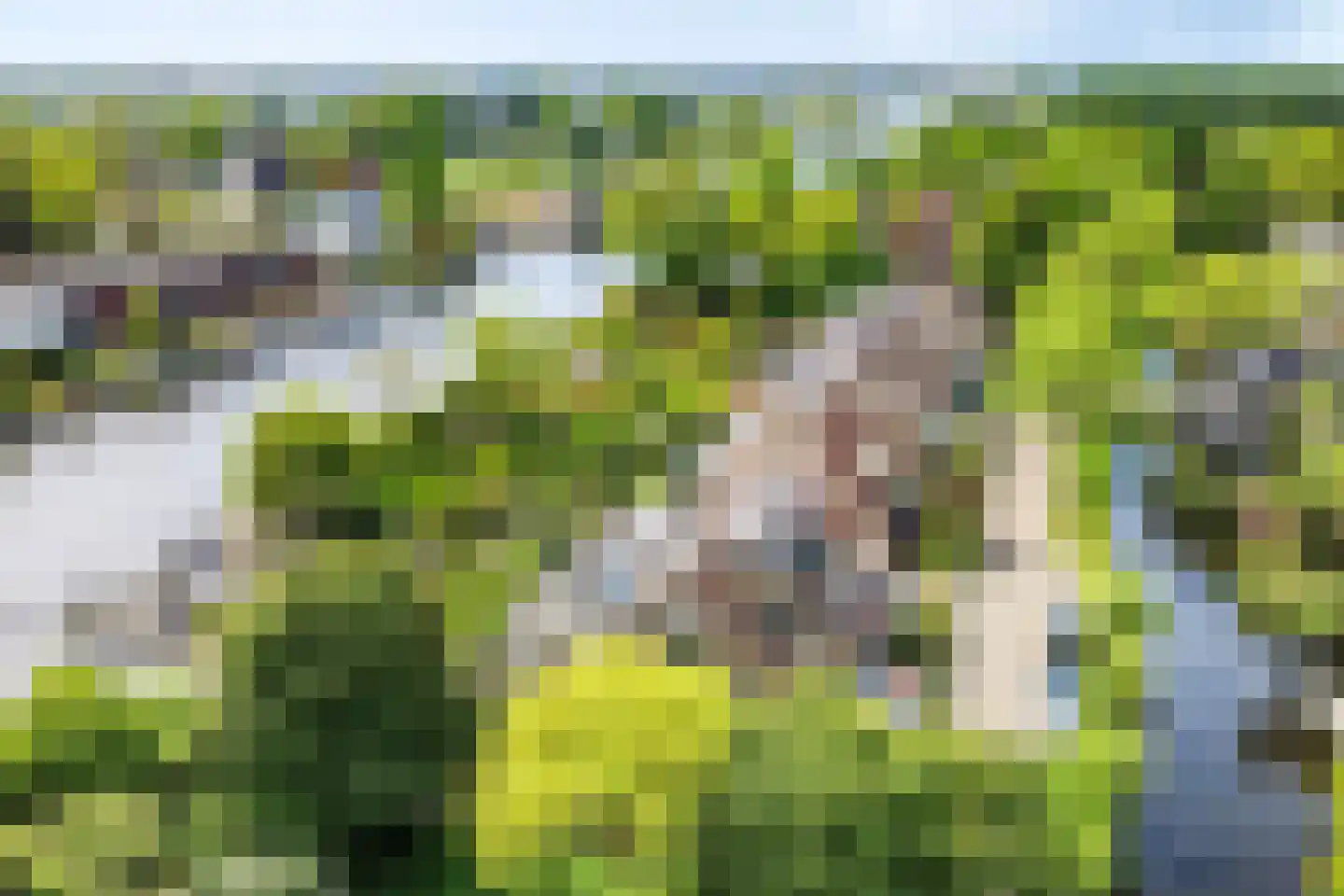 Willem Pijperlaan 9 Oegstgeest thumbnail 6