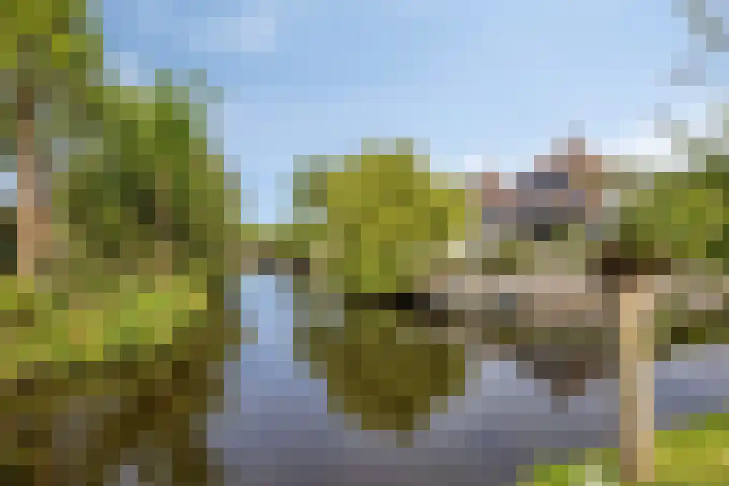 Willem Pijperlaan 9 Oegstgeest thumbnail 7