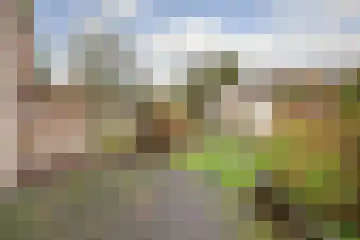 Willem Pijperpark 14 Waalwijk thumbnail 31