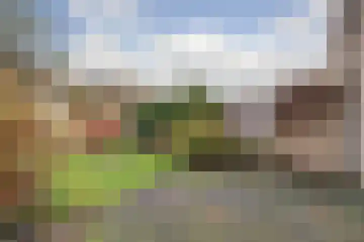 Willem Pijperpark 14 Waalwijk thumbnail 32