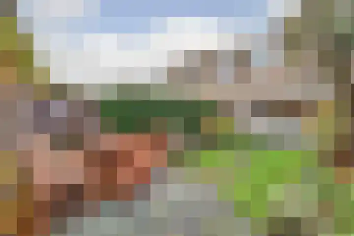Willem Pijperpark 14 Waalwijk thumbnail 33