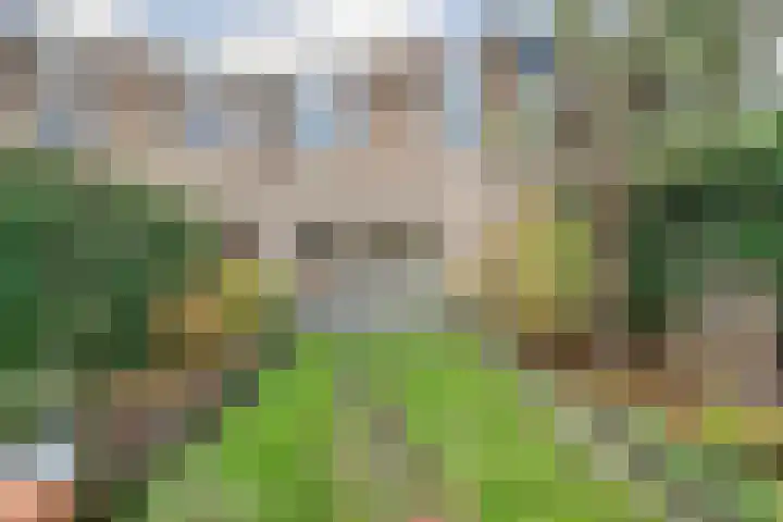 Willem Pijperpark 14 Waalwijk thumbnail 34