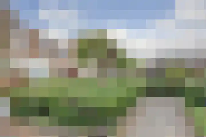 Willem Pijperpark 14 Waalwijk thumbnail 35