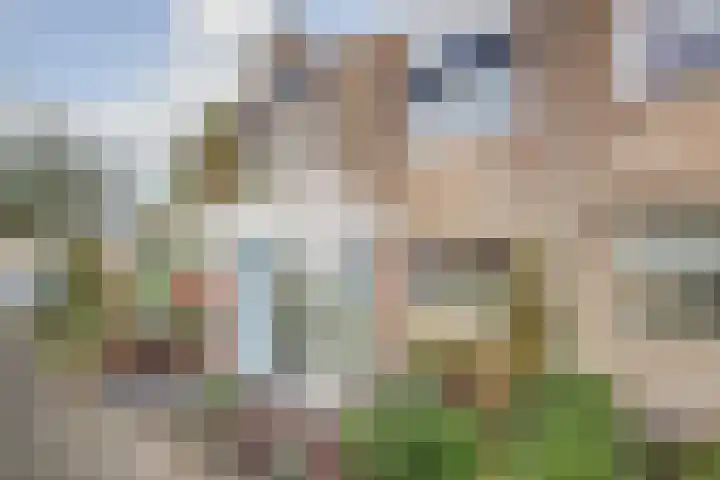 Willem Pijperpark 14 Waalwijk thumbnail 37