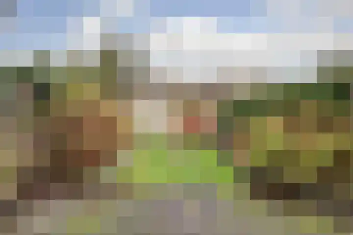 Willem Pijperpark 14 Waalwijk thumbnail 5