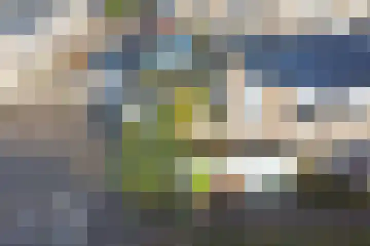 Willem Pijperpark 16 Waalwijk thumbnail 27