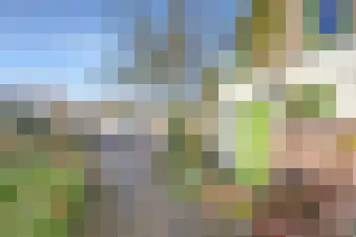 Willem Pijperpark 16 Waalwijk thumbnail 6