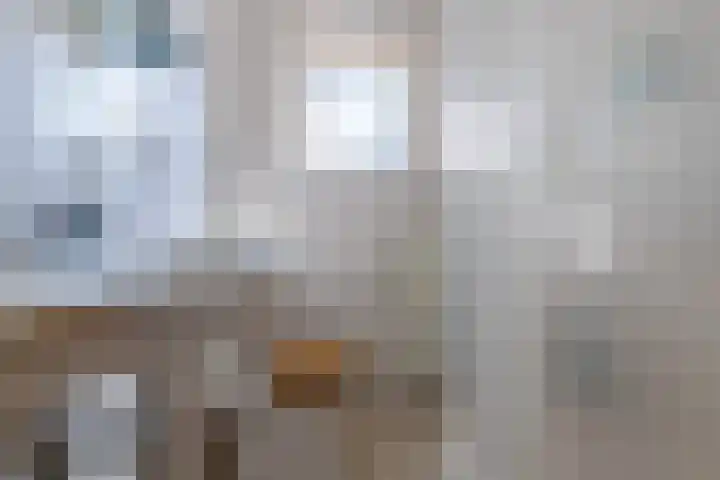 Willem Pijperplein 113 Zeist thumbnail 14