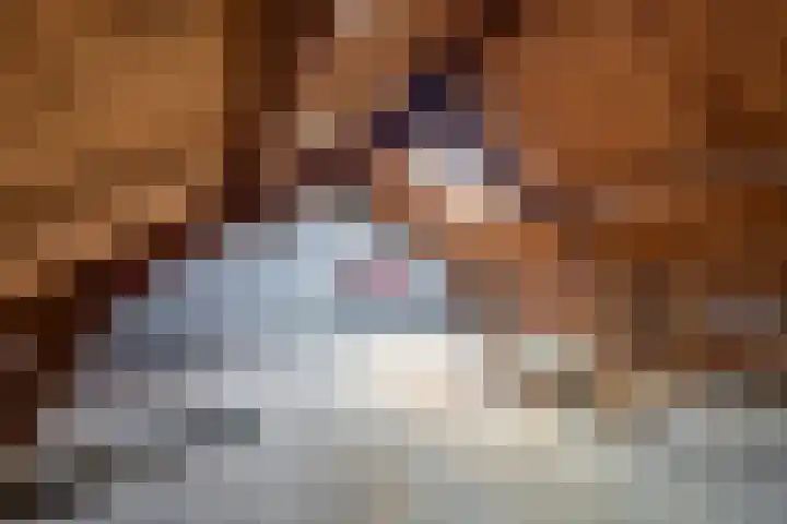 Willem Pijperplein 113 Zeist thumbnail 15