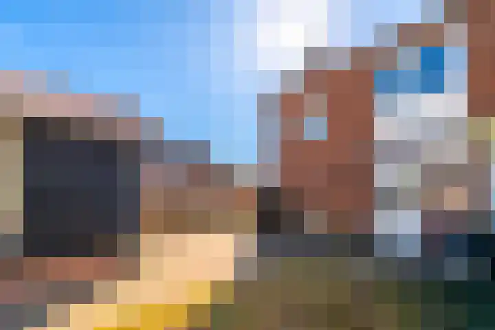 Willem Pijperplein 113 Zeist thumbnail 16