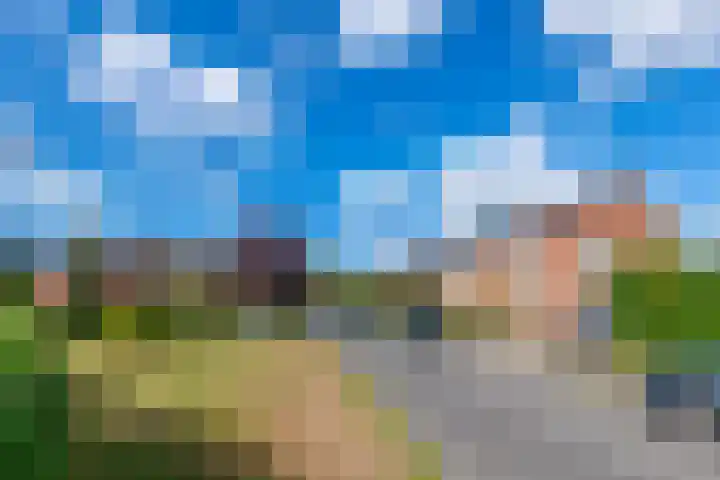 Willem Pijperplein 113 Zeist thumbnail 26