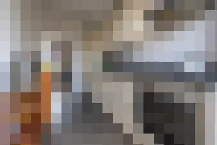 Willem Pijperplein 113 Zeist thumbnail 8