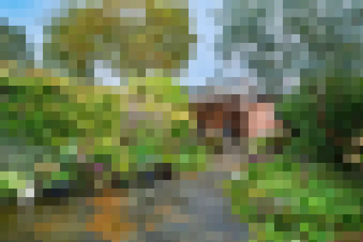 Willem Pijperplein 114 Zeist thumbnail 27