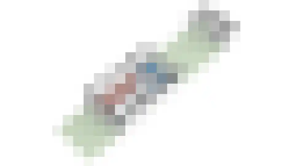 Willem Pijperplein 114 Zeist thumbnail 33