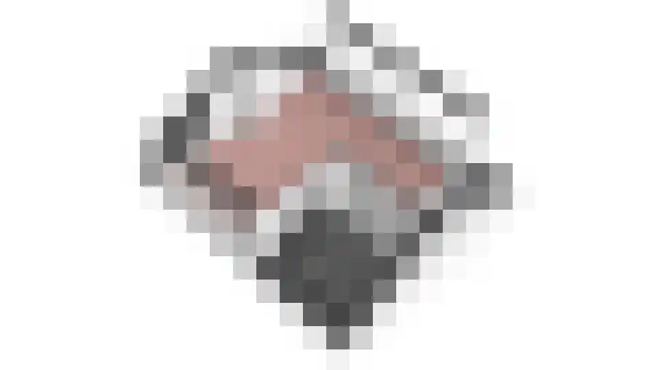 Willem Pijperplein 114 Zeist thumbnail 39