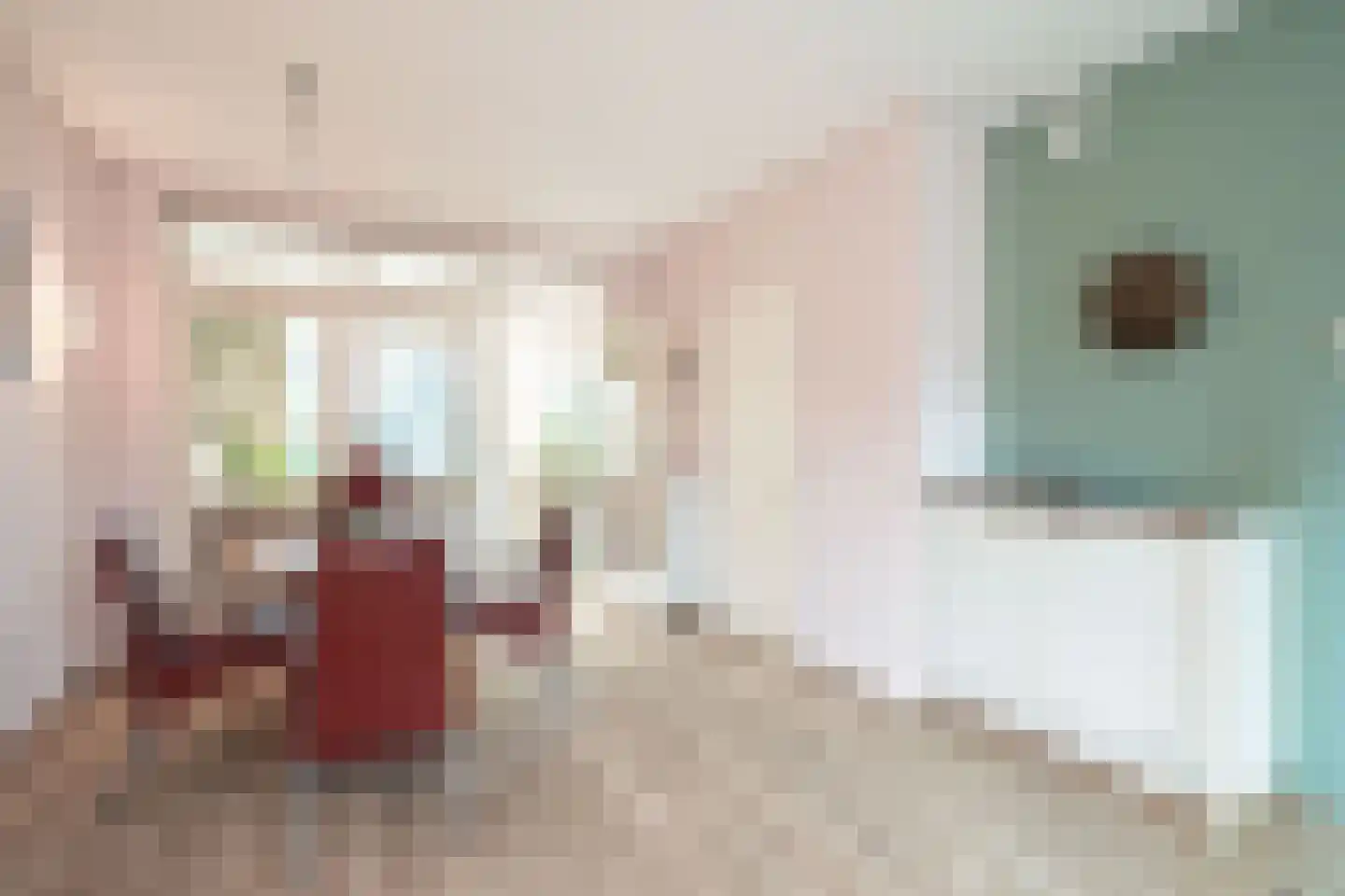Willem Pijperplein 114 Zeist thumbnail 8