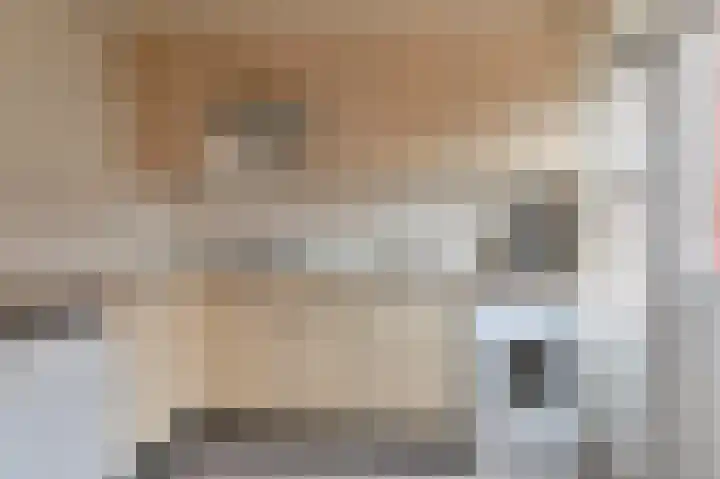 Willem Pijperstraat 1 Dedemsvaart thumbnail 18