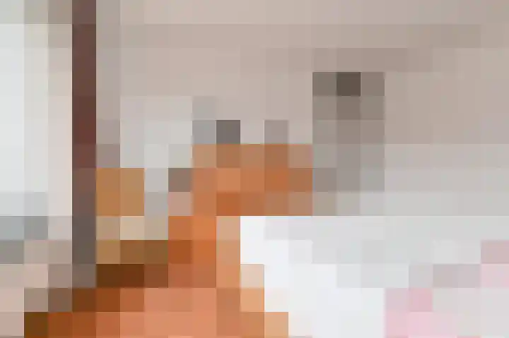 Willem Pijperstraat 1 Dedemsvaart thumbnail 30