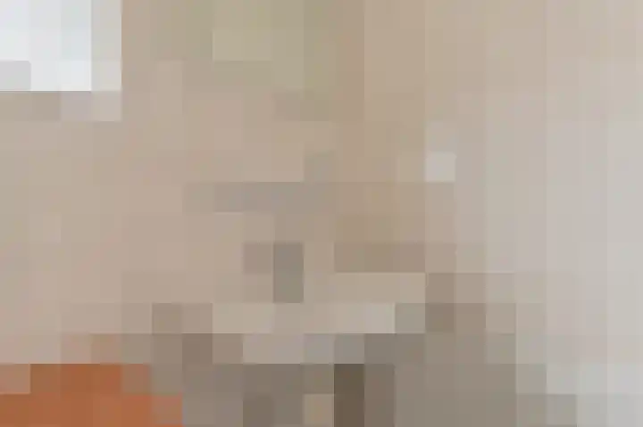 Willem Pijperstraat 1 Dedemsvaart thumbnail 33