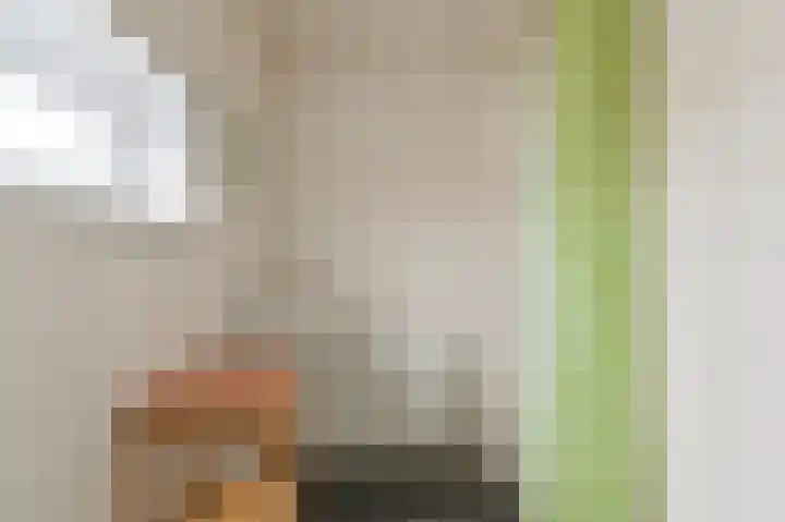 Willem Pijperstraat 1 Dedemsvaart thumbnail 34