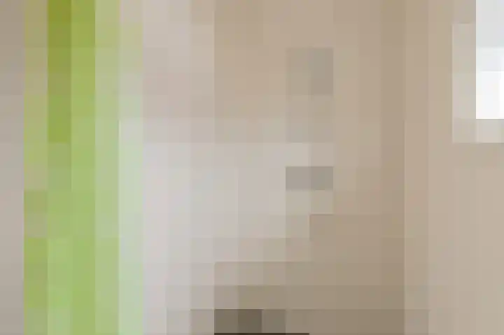 Willem Pijperstraat 1 Dedemsvaart thumbnail 35